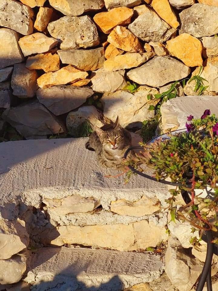 Вілла Moja Posebna Kuca Na Osami Kraj Mora Віс Номер фото